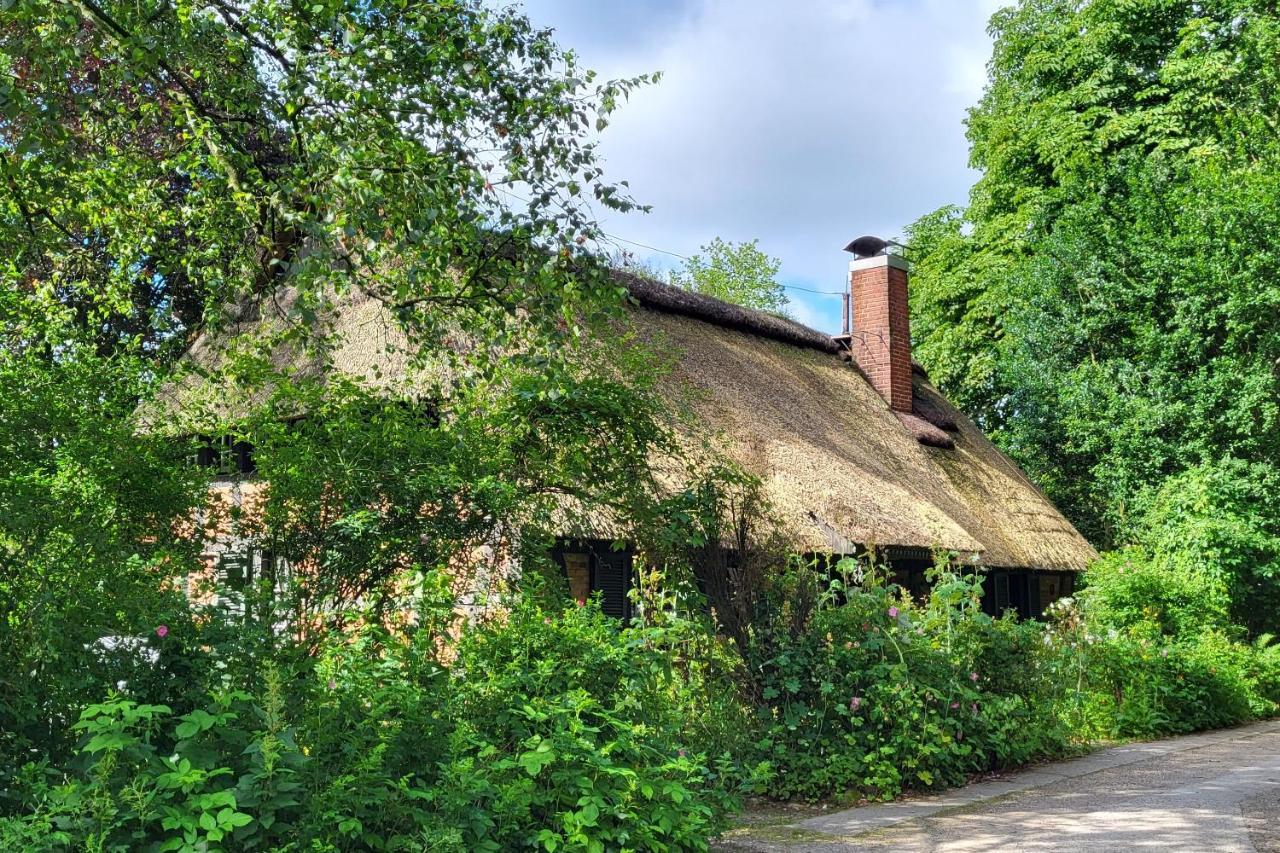 Haus Swanhild Villa Fockbek Exterior foto